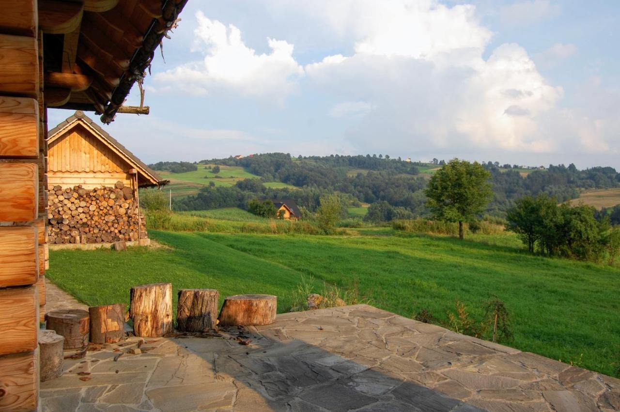 Moja Chata Do Wynajecia Istebna Exterior photo