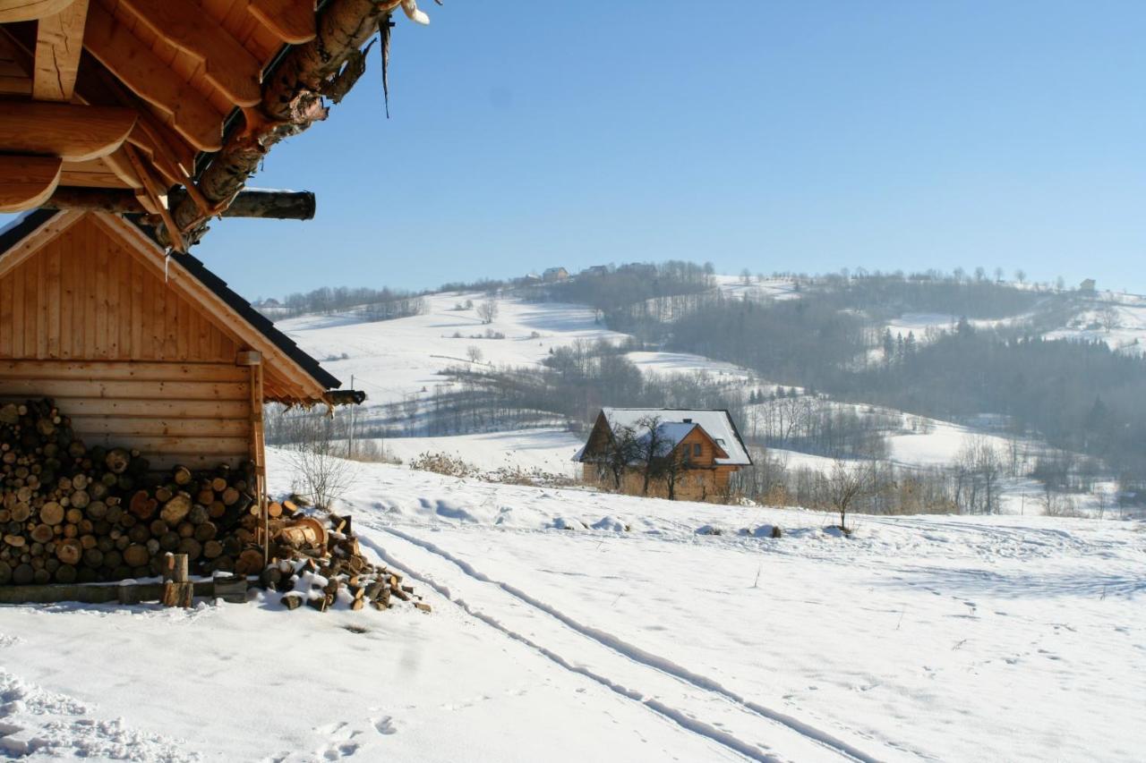 Moja Chata Do Wynajecia Istebna Exterior photo